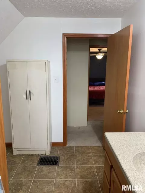 25 NE 4th St, Galva, IL 61434 photo 20