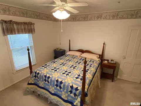 541 E 490th St, Alpha, IL 61413 photo 12