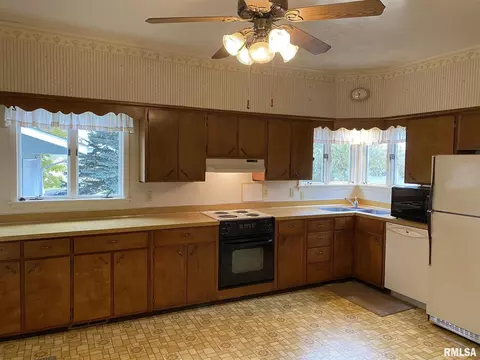 541 E 490th St, Alpha, IL 61413 photo 4