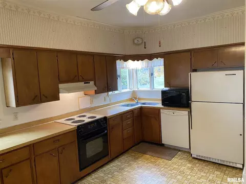 541 E 490th St, Alpha, IL 61413 photo 5