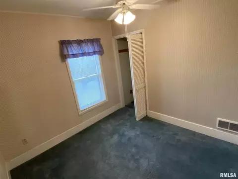 541 E 490th St, Alpha, IL 61413 photo 13