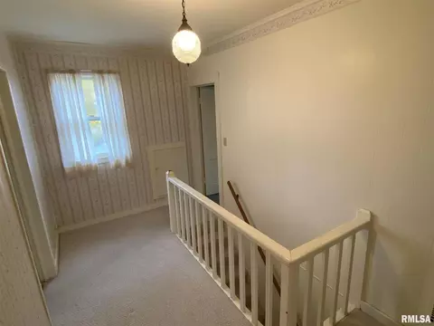 541 E 490th St, Alpha, IL 61413 photo 11