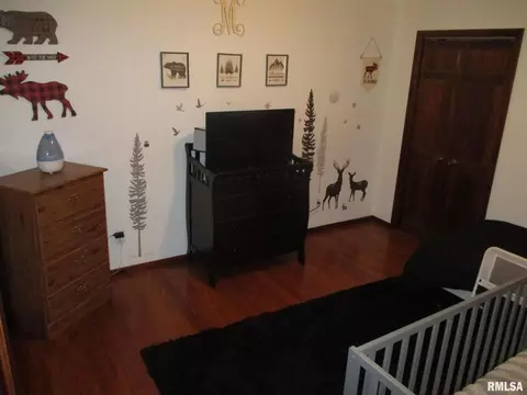 9225 North Ave, Thomson, IL 61285 photo 11