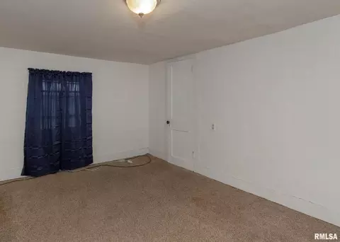 1009 3rd St, Orion, IL 61273 photo 21