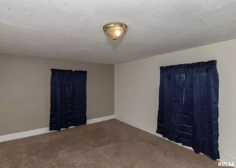 1009 3rd St, Orion, IL 61273 photo 22