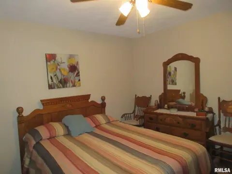 306 Marlane Dr, Alpha, IL 61413 photo 19