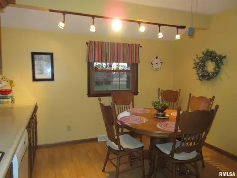 306 Marlane Dr, Alpha, IL 61413 photo 13