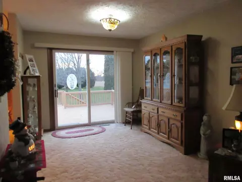 306 Marlane Dr, Alpha, IL 61413 photo 10