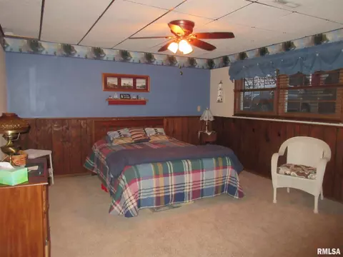 306 Marlane Dr, Alpha, IL 61413 photo 22
