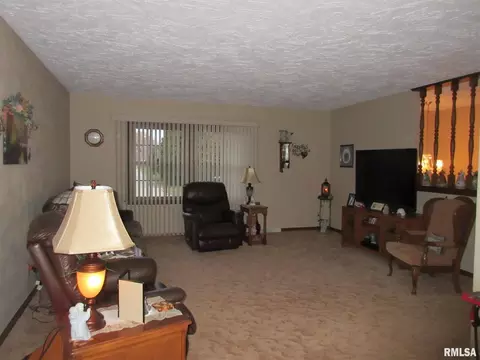 306 Marlane Dr, Alpha, IL 61413 photo 9
