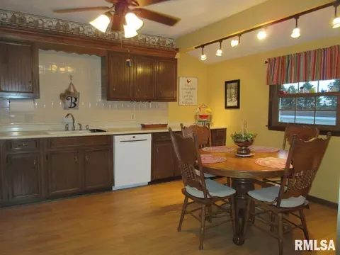 306 Marlane Dr, Alpha, IL 61413 photo 11