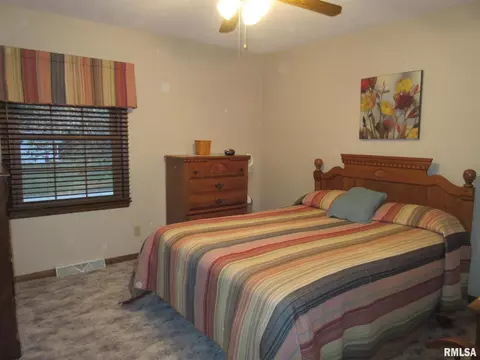 306 Marlane Dr, Alpha, IL 61413 photo 18