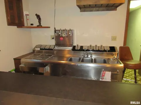 306 Marlane Dr, Alpha, IL 61413 photo 27