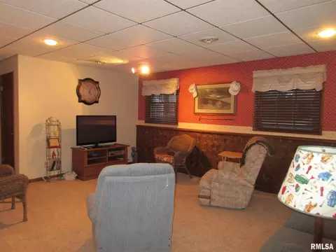 306 Marlane Dr, Alpha, IL 61413 photo 24