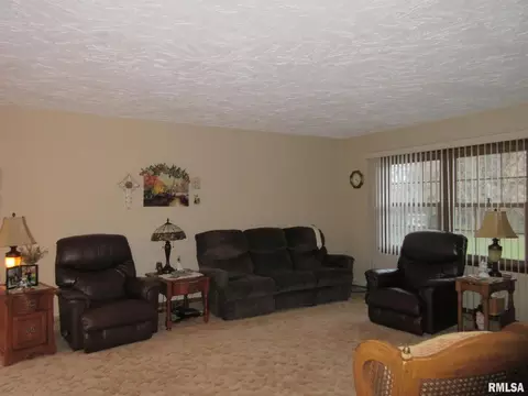 306 Marlane Dr, Alpha, IL 61413 photo 8