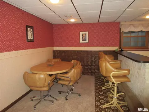306 Marlane Dr, Alpha, IL 61413 photo 25