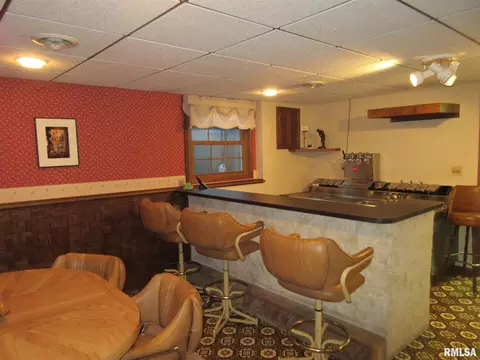 306 Marlane Dr, Alpha, IL 61413 photo 26