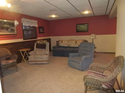 306 Marlane Dr, Alpha, IL 61413 photo 23