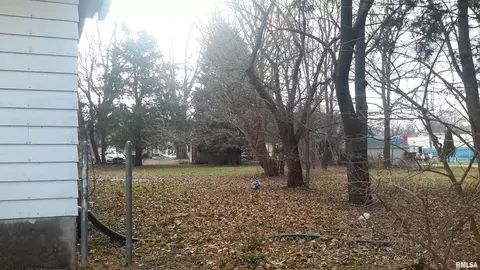 2514 4th Ave, Moline, IL 61265 photo 7