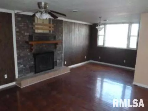 113 W 3rd St, Spring Valley, IL 61362 photo 4