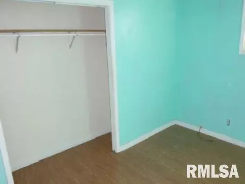 113 W 3rd St, Spring Valley, IL 61362 photo 6