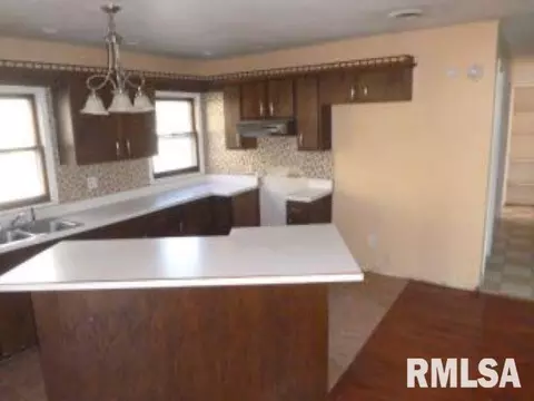 113 W 3rd St, Spring Valley, IL 61362 photo 3