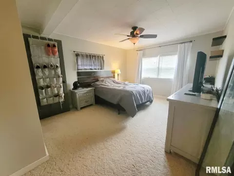 313 N Jackson St, Morrison, IL 61270 photo 5