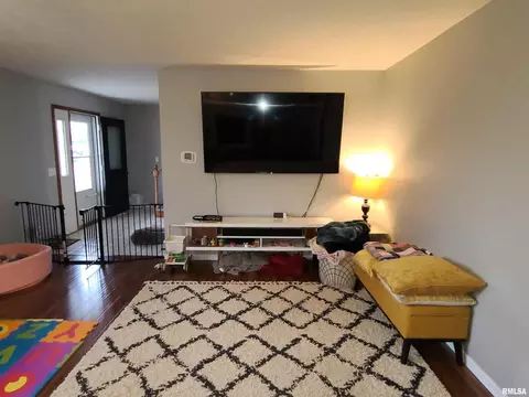 3033 Willow Branch Ln, Herrin, IL 62948 photo 7