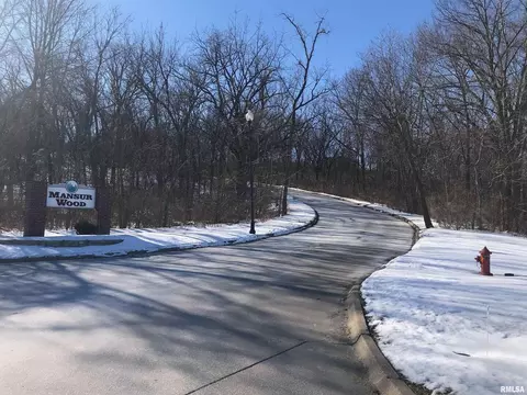 709 Rebecca Pl, Carbon Cliff, IL 61239