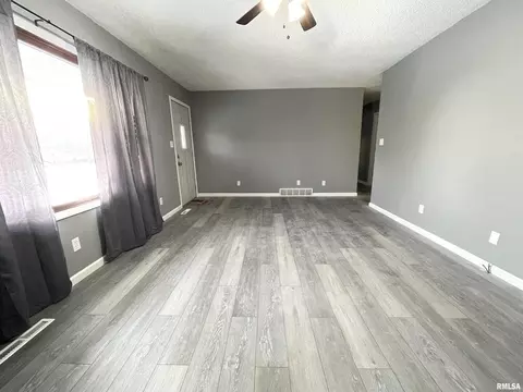 1415 10th Ave, Fulton, IL 61252 photo 3