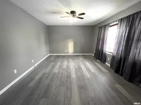 1415 10th Ave, Fulton, IL 61252 photo 2