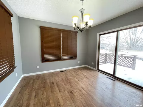 1415 10th Ave, Fulton, IL 61252 photo 8