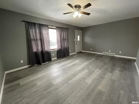 1415 10th Ave, Fulton, IL 61252 photo 4