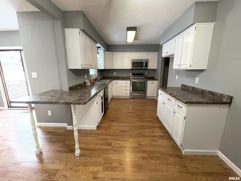 1415 10th Ave, Fulton, IL 61252 photo 5