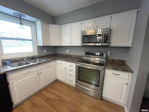 1415 10th Ave, Fulton, IL 61252 photo 6
