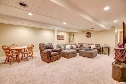 204 Maple Ln, Fulton, IL 61252 photo 16
