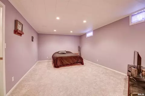 204 Maple Ln, Fulton, IL 61252 photo 19