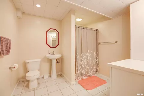 204 Maple Ln, Fulton, IL 61252 photo 18