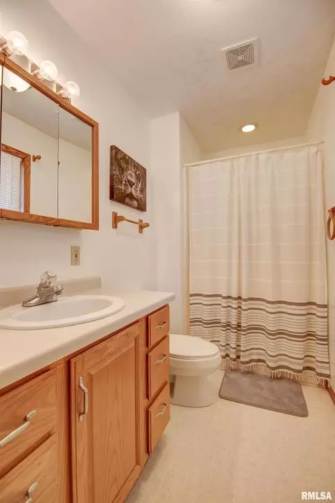 204 Maple Ln, Fulton, IL 61252 photo 12
