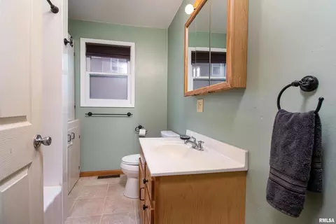 1308 4th St, Orion, IL 61273 photo 14