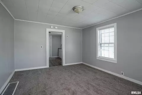 1318 4th St, Orion, IL 61273 photo 11