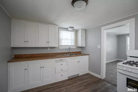 1318 4th St, Orion, IL 61273 photo 6