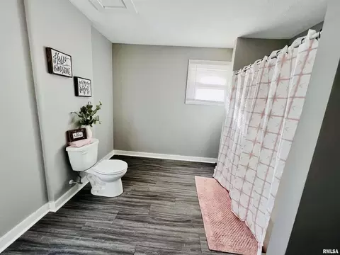 108 E 2nd Ave, Milan, IL 61264 photo 11