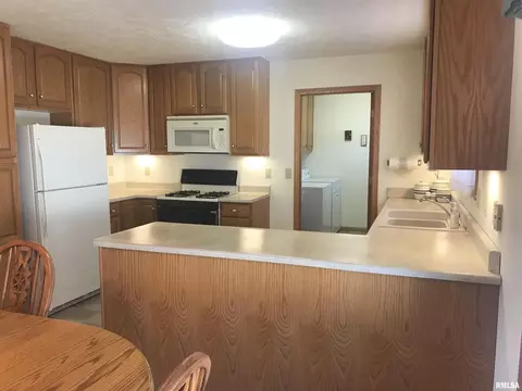 516 3rd St, Colona, IL 61241 photo 7