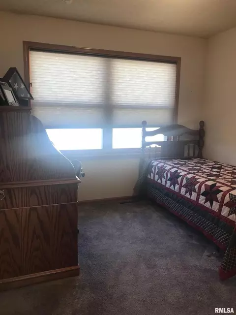 516 3rd St, Colona, IL 61241 photo 15