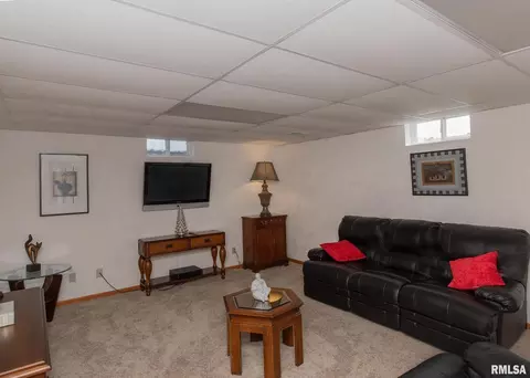 1002 17th Ave, Silvis, IL 61282 photo 21