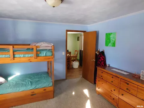 310 E Main St, Atkinson, IL 61235 photo 19