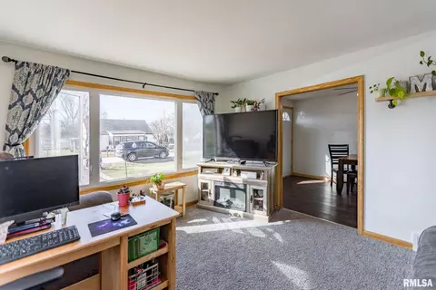 305 4th Ave, Colona, IL 61241 photo 9