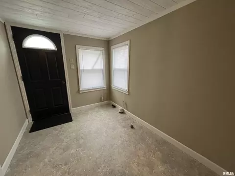 601 NE 4th Ave, Aledo, IL 61231 photo 8