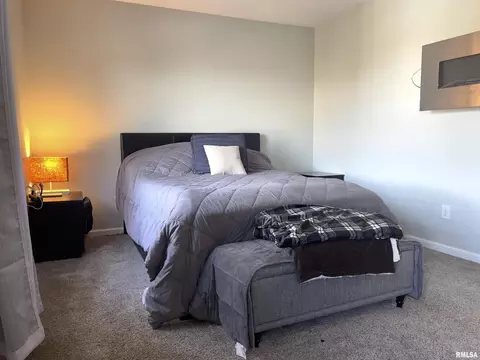 1313 17th St, Moline, IL 61265 photo 8